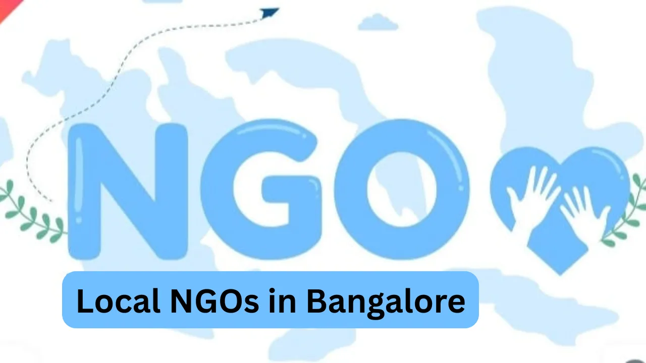 Local NGOs in Bangalore